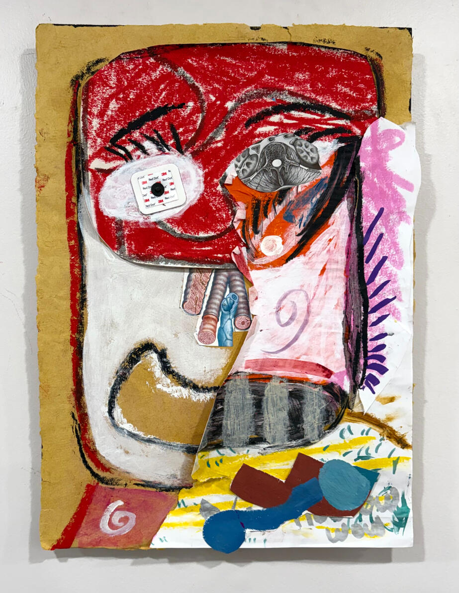 "Med Face" Oil stick, acrylic, ick, marker, collage, and found objects on paper mounted on wood 12" x17" 2025